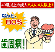 40歳以上の成人の80%が歯周病